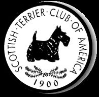 STCA Logo